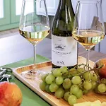 Italian Experience-villa Zena Villa