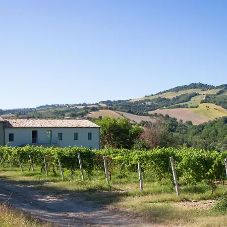 Italian Experience-villa Zena Villa *