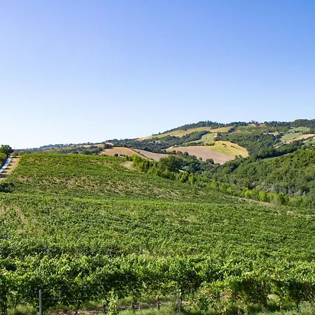 Italian Experience-villa Zena Villa Cupramontana