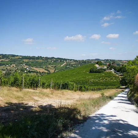 Italian Experience-villa Zena * Cupramontana