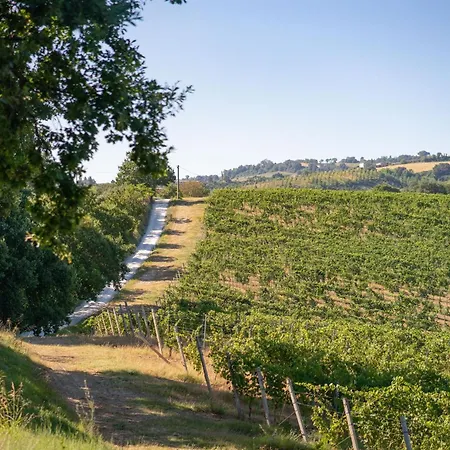 Italian Experience-villa Zena Cupramontana