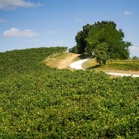 Italian Experience-villa Zena