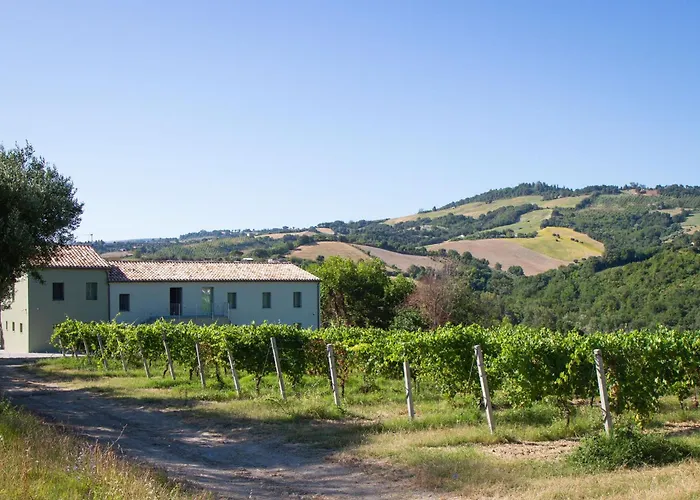 Italian Experience-villa Zena Villa *