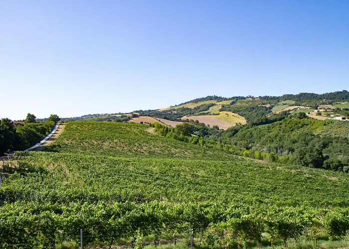 Italian Experience-villa Zena Villa Cupramontana