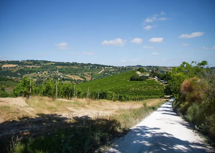 Italian Experience-villa Zena * Cupramontana